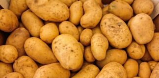 Ile kalorii mają ziemniaki? Ziemniaki kalorie