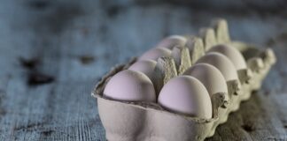 Jajko – wartości odżywcze, właściwości, witaminy, zastosowanie jajka wartości odżywcze
