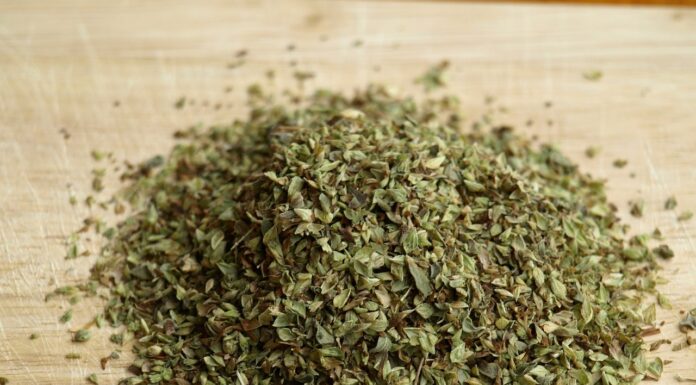 Jak mrozić oregano? Jak mrozić oregano