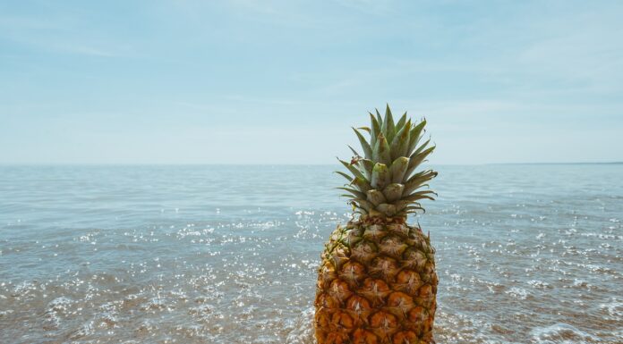 Ananas – wartości odżywcze, właściwości, witaminy, zastosowanie Ananas