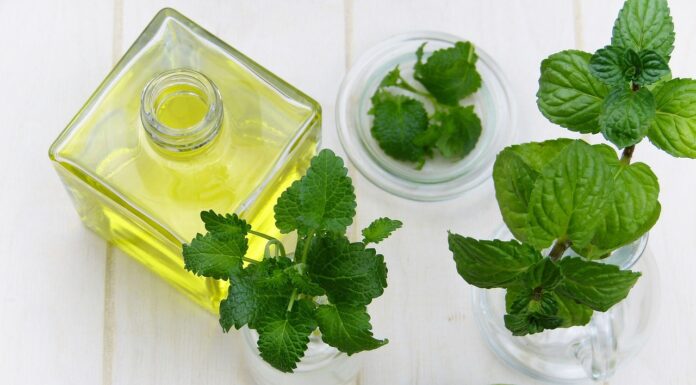Mięta – wartości odżywcze, właściwości, witaminy, zastosowanie